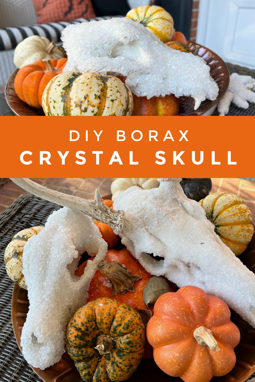 DIY Borax Crystal Skulls - Maggie Overby Studios